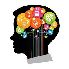 C B T Brain Image